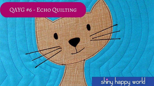 Video - Quilt As You Go #6 - Echo Quilting