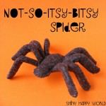 Spider Kit
