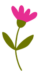 pink-flower@2x pink-flower@2x
