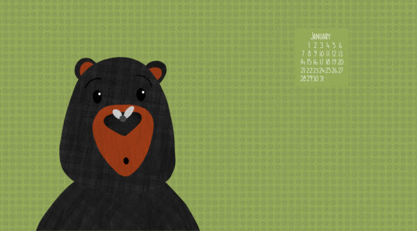 Warren the Charity Bear – a free teddy bear pattern - Shiny Happy World